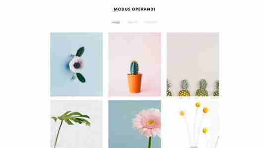 Website Builder - Modus Operandi